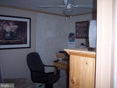 10741 Horseshoe Ln, Worton, MD 21678 - photo 3