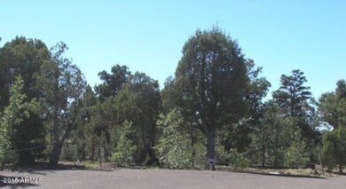 Sierra Pines (7)