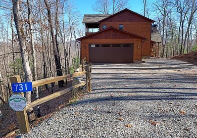 731 Native Trail, Blue Ridge, GA 30513 - photo 7