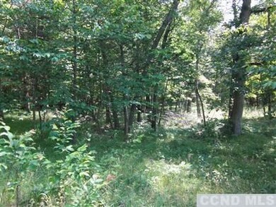 0 Post Hill Rd unit 97496, Taghkanic, NY 12502 - photo 6