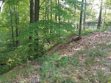 2267 W Lake Shore Dr, Bitely, MI 49309 - photo 4