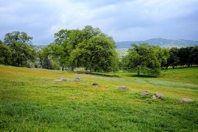 46565 Dry Creek Dr, Badger, CA 93603 - photo 5