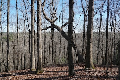 0 Alabama 187, Hodges, AL 35571 - photo 5