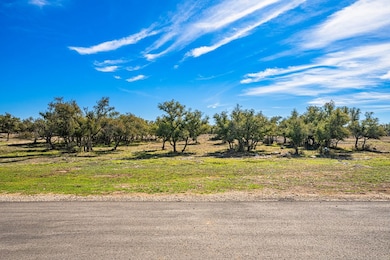 Lot 95 Pack Saddle Dr Fiedler Rd unit 95, Harper, TX 78631 - photo 4