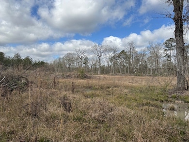 Tbd Hwy 112, Forest Hill, LA 71430 - photo 3