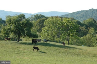 38 Lyle Ln, Amissville, VA 20106 - photo 3