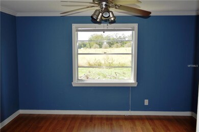 36841 Conley St, Zephyrhills, FL 33541 - photo 5