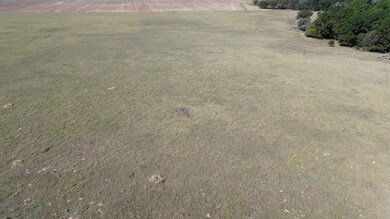 511 Private Road 6142, Grapeland, TX 75844 - photo 7