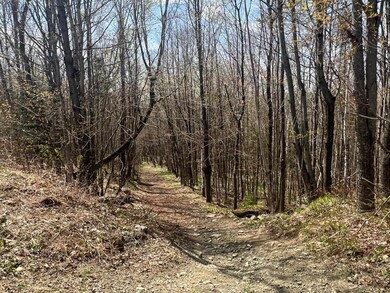 - Back Farm Rd, Clarksville, NH 03592 - photo 7