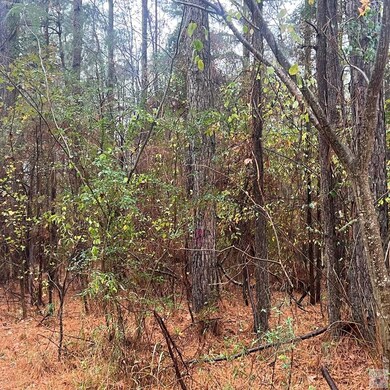 TBD Mc 226, Texarkana, AR 71854 - photo 4