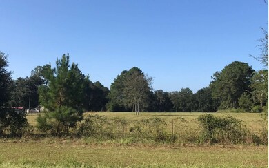 5976 Lake Jeffrey Rd, Lake City, FL 32055 - photo 3