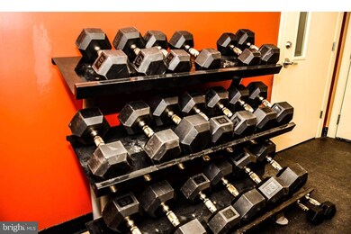 8206 Riggos Way, Landover, MD 20785 - photo 2