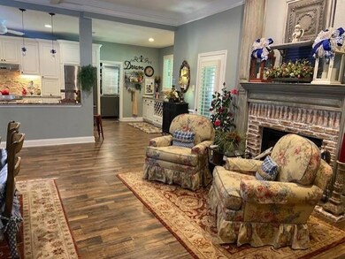 Living room opens to the kitchen