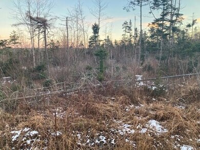 Jonesport land photo 4