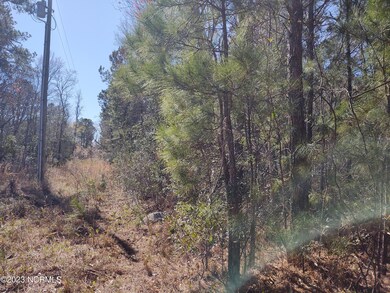 Demps power line