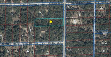 0 Lot 102 Ne 118th Terrace unit MFRGC535677, Bronson, FL 32621 - photo 5