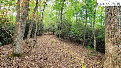 Lot 49 Abaco Dr, Vilas, NC 28692 - photo 6