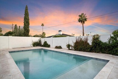Backyard Oasis