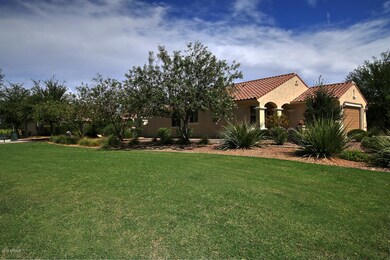 7382 W Silver Spring Way-large-004-009-A