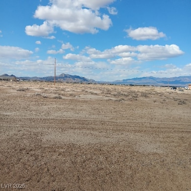 2860 W Carnation Way, Pahrump, NV 89048 - photo 3