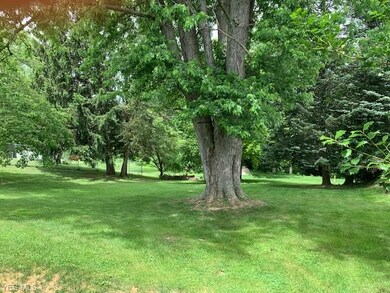 207 Westview Dr, New Concord, OH 43762 - photo 6