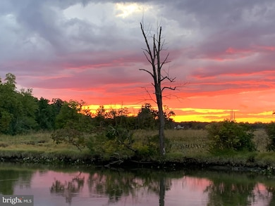 15 Higginsville Ln, Mount Royal, NJ 08061 - photo 6