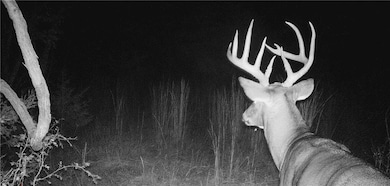 37690 U S 169, Osawatomie, KS 66064 - photo 2