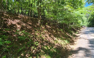 Additional View