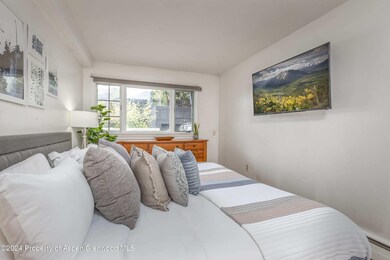 210 E Cooper Ave unit 1C, Aspen, CO 81611 - photo 7