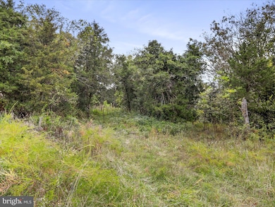 0 Andrews Rd unit VAWR2012442, Strasburg, VA 22657 - photo 4