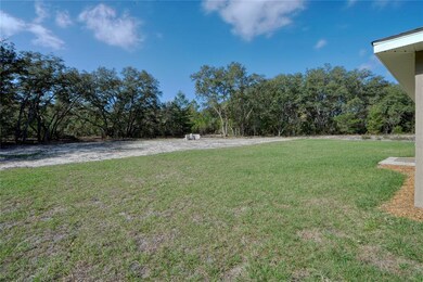 14 Fisher Way Trace, Ocklawaha, FL 32179 - photo 7
