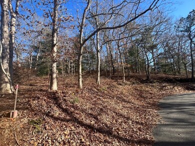 3 Bob-White Ln, Bourne, MA 02534 - photo 3