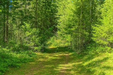 35xx Mountainview Rd, Chewelah, WA 99109 - photo 5