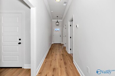 15579 Mizewell Ln NW, Harvest, AL 35749 - photo 5