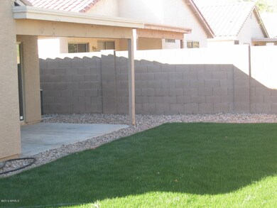 Backyard 1