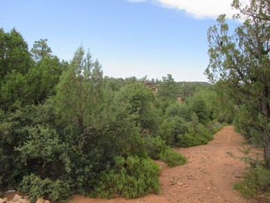 Photo 07