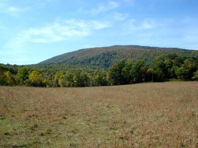 View 1 of Hogback Mtn from Upper Meadow