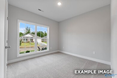 221 Pine Island Ave, Toney, AL 35773 - photo 6