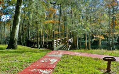 27822 23rd Place, Branford, FL 32008 - photo 5