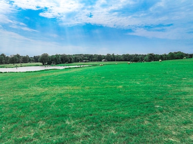 000 County Road 4200, Daingerfield, TX 75638 - photo 3