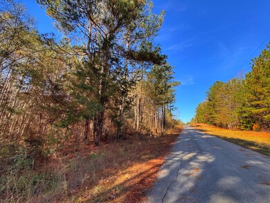 County Road 25, Reform, AL 35481 - photo 4