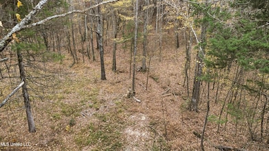 7 Wall Hill Rd Lot, Byhalia, MS 38611 - photo 4
