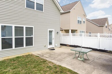 Back/Patio