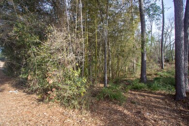 Homes of Hattiesburg (1 of 3) (2)