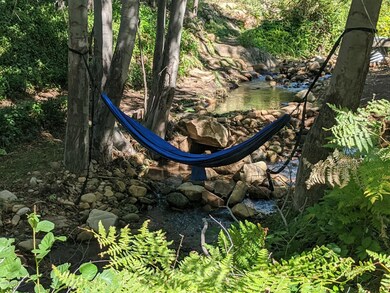 Bonita creek