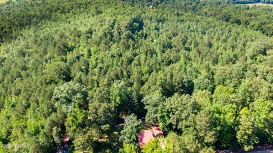 5-14 546 Morgan Creek Sugar Tree-2