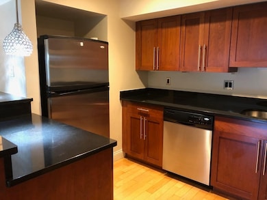 Washington on the Square unit 1109, Brookline, MA 02446 - photo 3