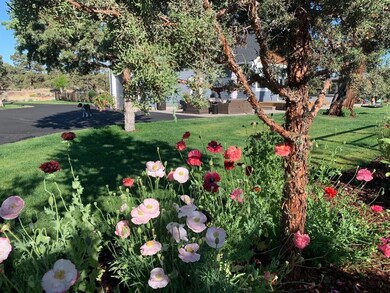 Front Gardens