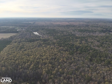 5600 Old Vinton Rd unit West Point MS 39773, West Point, MS 39773 - photo 6