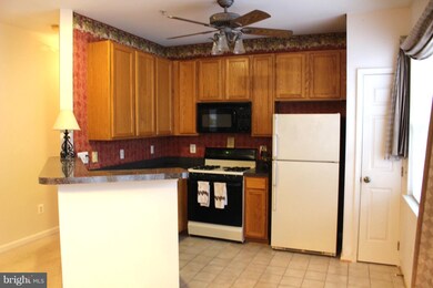 5002 Willow Branch Way, Owings Mills, MD 21117 - photo 7